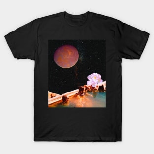 Highest in the pool T-Shirt